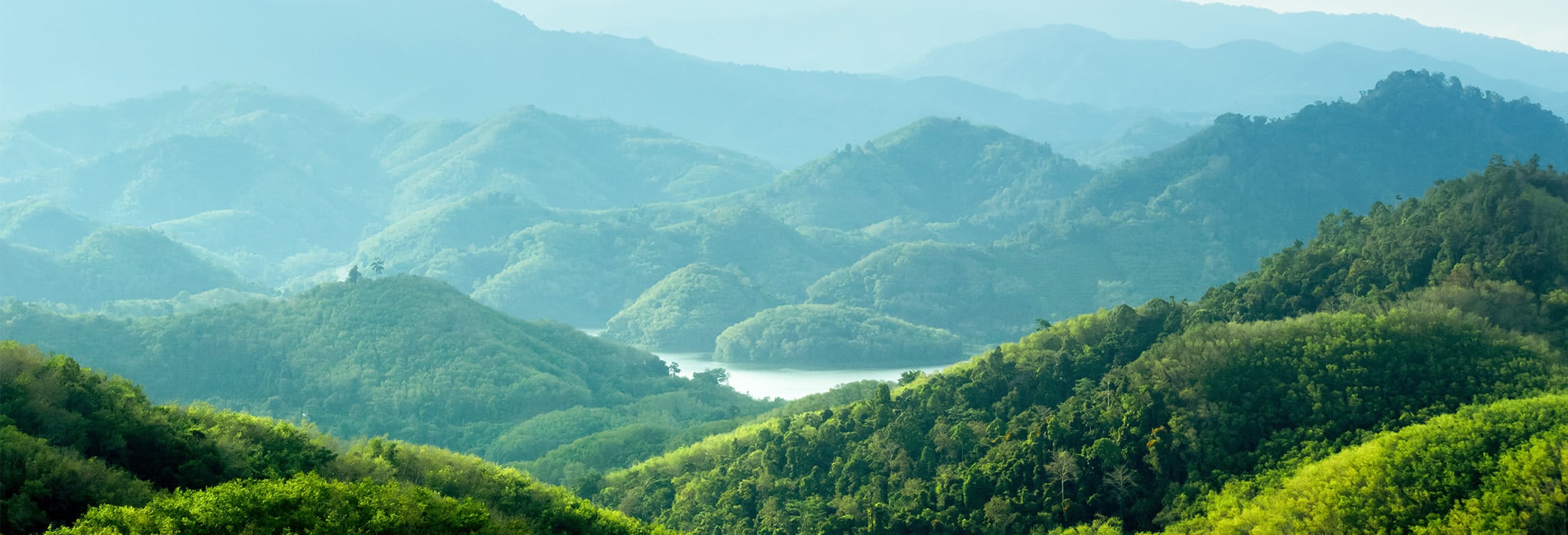 Sustainability practices and initiatives at HIMSS27 to minimize environmental impact.